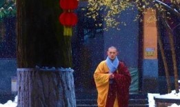 灵谷寺法师爆料视频,视频爆料背后的惊人真相